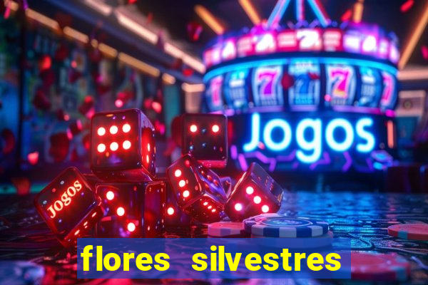 flores silvestres desbravadores desbravadores 25